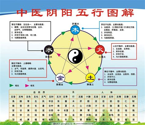 中醫五行|中医五行学